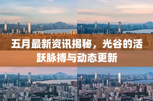 五月最新资讯揭秘，光谷的活跃脉搏与动态更新