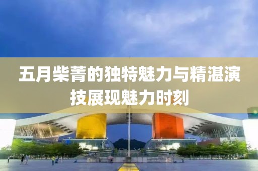五月柴菁的独特魅力与精湛演技展现魅力时刻
