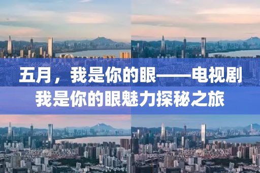五月，我是你的眼——电视剧我是你的眼魅力探秘之旅