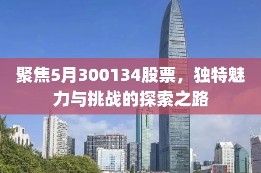 聚焦5月300134股票，独特魅力与挑战的探索之路
