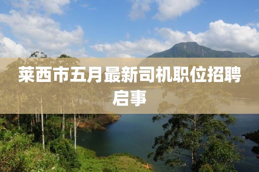 莱西市五月最新司机职位招聘启事