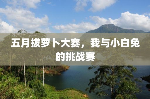 五月拔萝卜大赛，我与小白兔的挑战赛