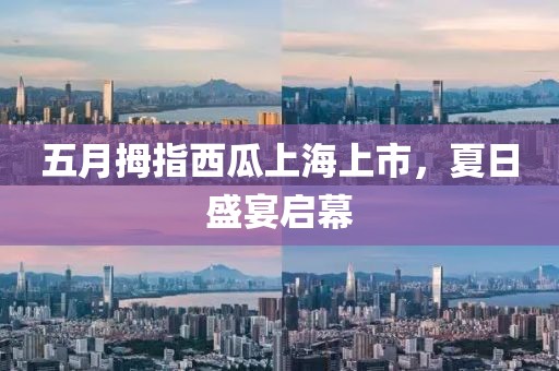 五月拇指西瓜上海上市，夏日盛宴启幕