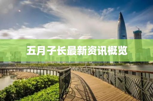五月子长最新资讯概览