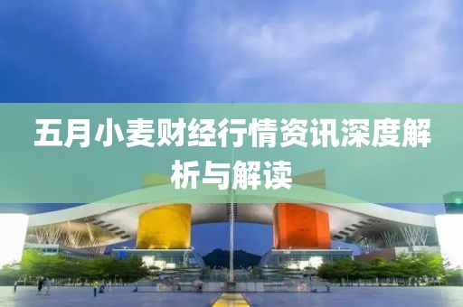 五月小麦财经行情资讯深度解析与解读