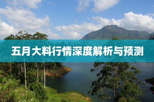 五月大料行情深度解析与预测