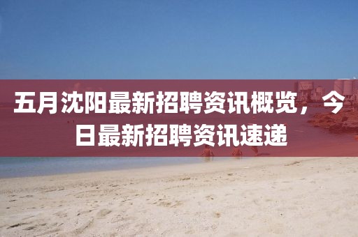 五月沈阳最新招聘资讯概览，今日最新招聘资讯速递