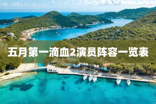 五月第一滴血2演员阵容一览表