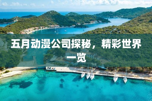 五月动漫公司探秘，精彩世界一览