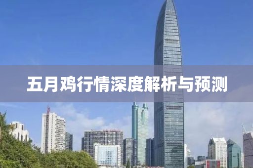 五月鸡行情深度解析与预测