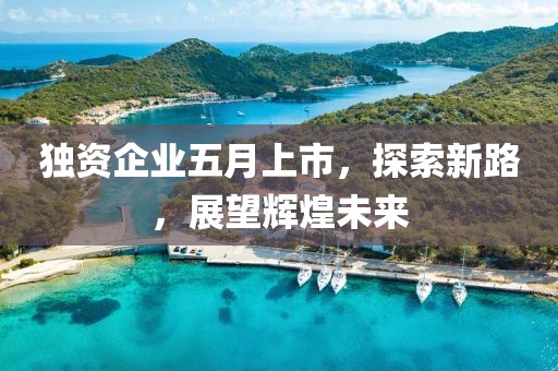 独资企业五月上市，探索新路，展望辉煌未来