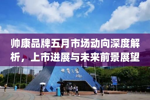 帅康品牌五月市场动向深度解析，上市进展与未来前景展望