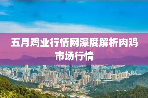 五月鸡业行情网深度解析肉鸡市场行情