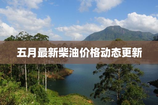五月最新柴油价格动态更新