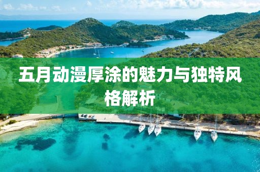 五月动漫厚涂的魅力与独特风格解析