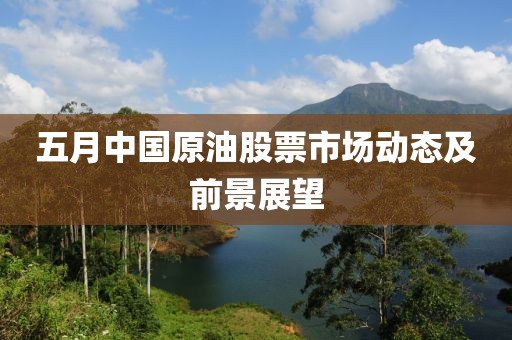 五月中国原油股票市场动态及前景展望