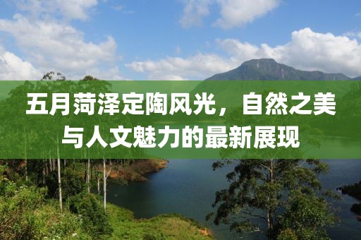 五月菏泽定陶风光，自然之美与人文魅力的最新展现