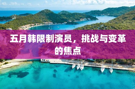 五月韩限制演员，挑战与变革的焦点