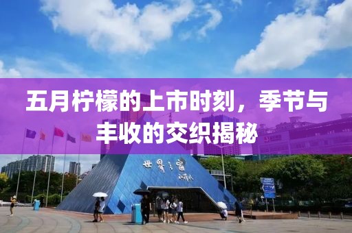 五月柠檬的上市时刻，季节与丰收的交织揭秘