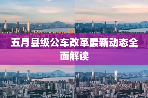 五月县级公车改革最新动态全面解读