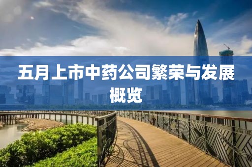 五月上市中药公司繁荣与发展概览
