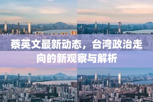 蔡英文最新动态，台湾政治走向的新观察与解析