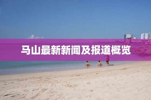 马山最新新闻及报道概览
