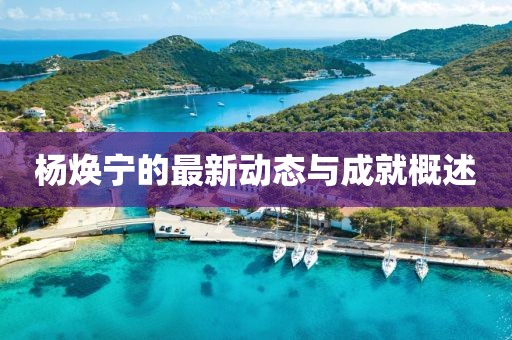 杨焕宁的最新动态与成就概述