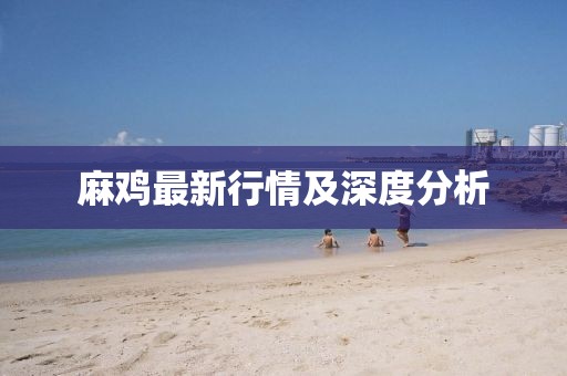 麻鸡最新行情及深度分析