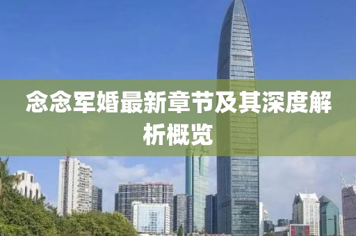 念念军婚最新章节及其深度解析概览