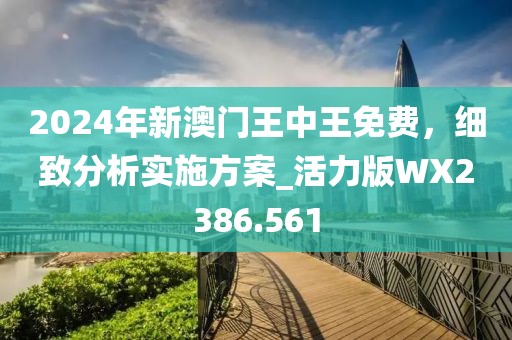 2024年新澳门王中王免费，细致分析实施方案_活力版WX2386.561