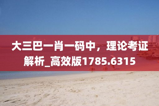 大三巴一肖一码中，理论考证解析_高效版1785.6315