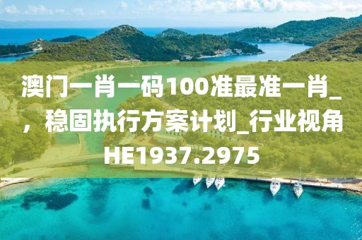 澳门一肖一码100准最准一肖_，稳固执行方案计划_行业视角HE1937.2975