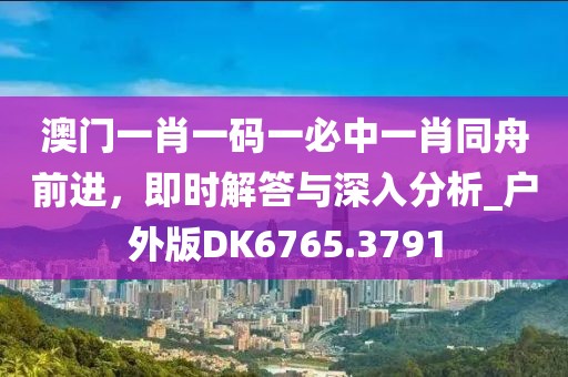 澳门一肖一码一必中一肖同舟前进，即时解答与深入分析_户外版DK6765.3791