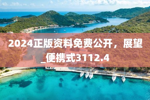 2024正版资料免费公开，展望_便携式3112.4