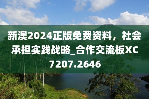 新澳2024正版免费资料，社会承担实践战略_合作交流板XC7207.2646