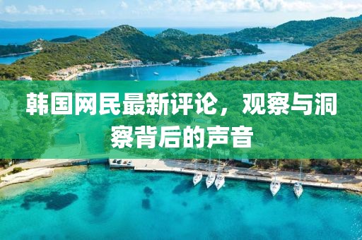 韩国网民最新评论，观察与洞察背后的声音