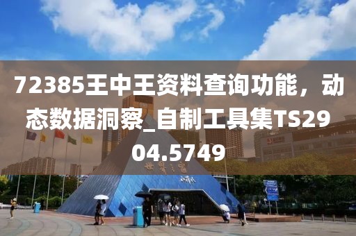 72385王中王资料查询功能，动态数据洞察_自制工具集TS2904.5749