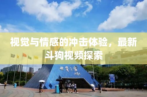 视觉与情感的冲击体验，最新斗狗视频探索