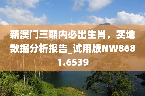 新澳门三期内必出生肖，实地数据分析报告_试用版NW8681.6539