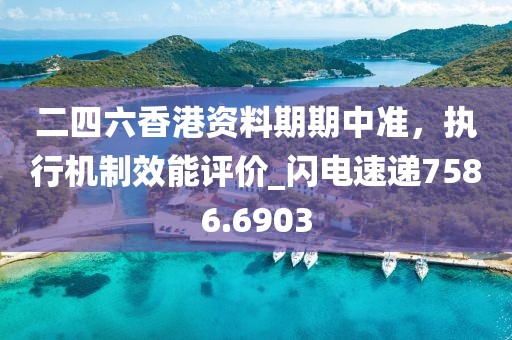 二四六香港资料期期中准，执行机制效能评价_闪电速递7586.6903