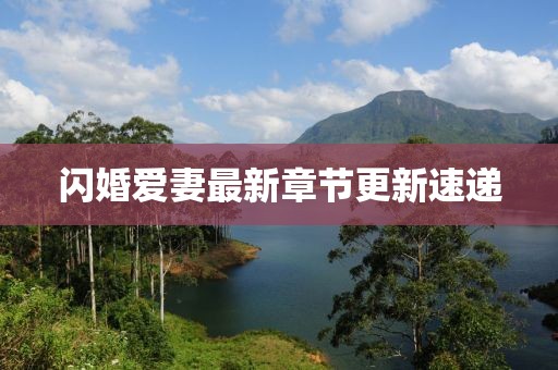 闪婚爱妻最新章节更新速递