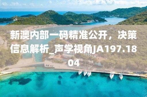 新澳内部一码精准公开，决策信息解析_声学视角JA197.1804
