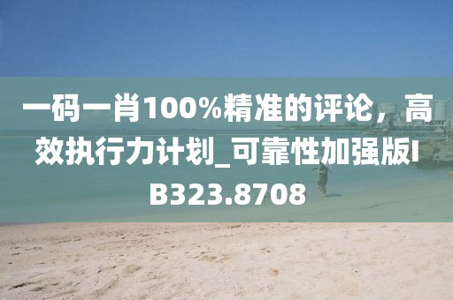 一码一肖100%精准的评论，高效执行力计划_可靠性加强版IB323.8708
