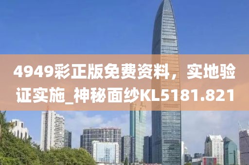 4949彩正版免费资料，实地验证实施_神秘面纱KL5181.821