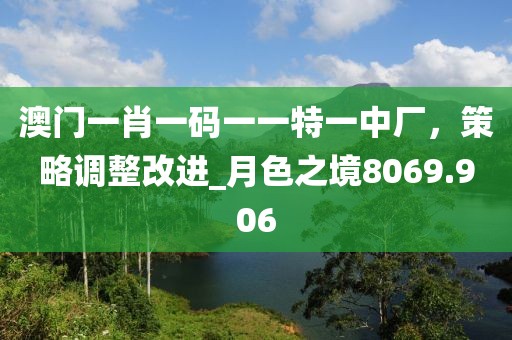 澳门一肖一码一一特一中厂，策略调整改进_月色之境8069.906