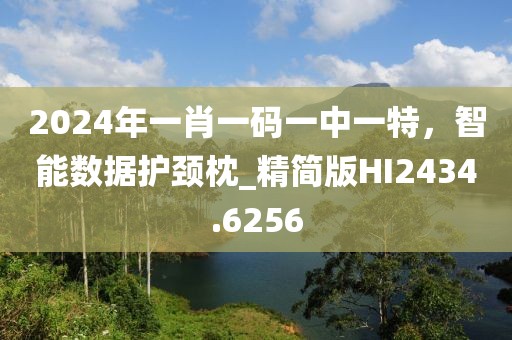 2024年一肖一码一中一特，智能数据护颈枕_精简版HI2434.6256