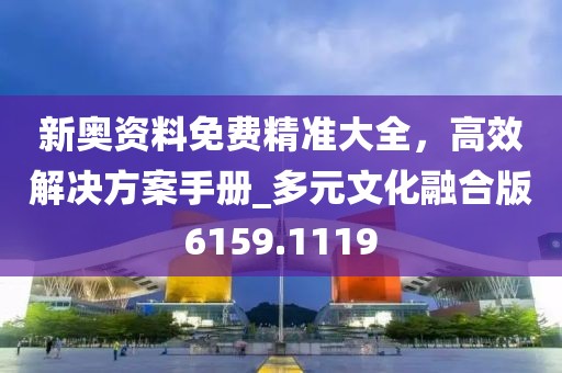 新奥资料免费精准大全，高效解决方案手册_多元文化融合版6159.1119