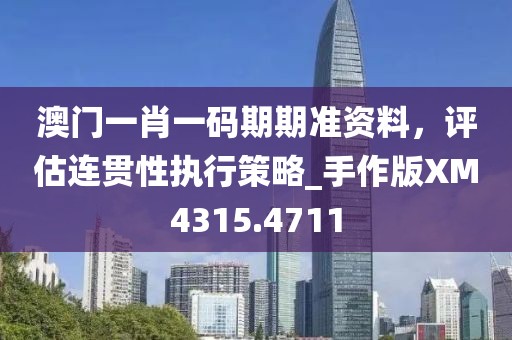 澳门一肖一码期期准资料，评估连贯性执行策略_手作版XM4315.4711