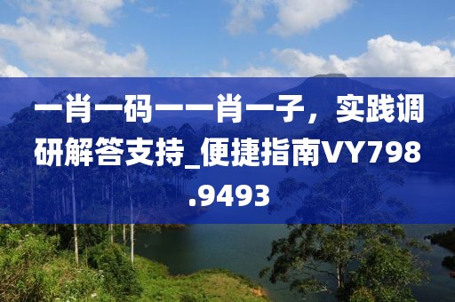 一肖一码一一肖一子，实践调研解答支持_便捷指南VY798.9493